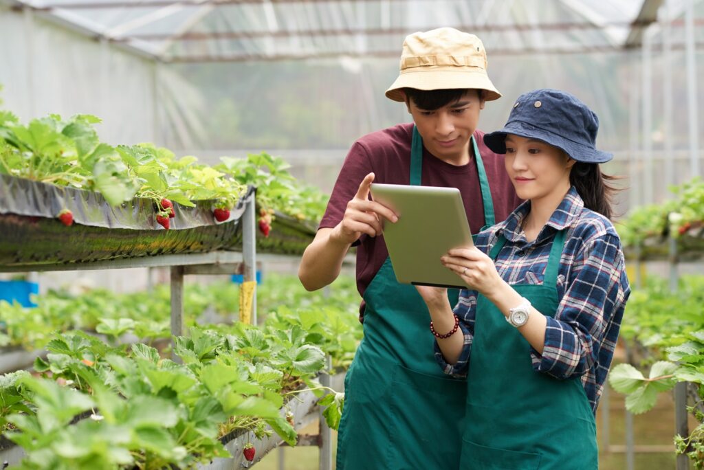 เกษตรวันหยุด Smartfarm